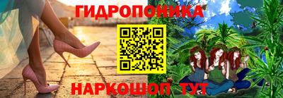 стафф Гусев