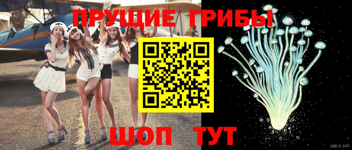 Псилоцибиновые грибы Cubensis  Вход с VPN  Назарово 