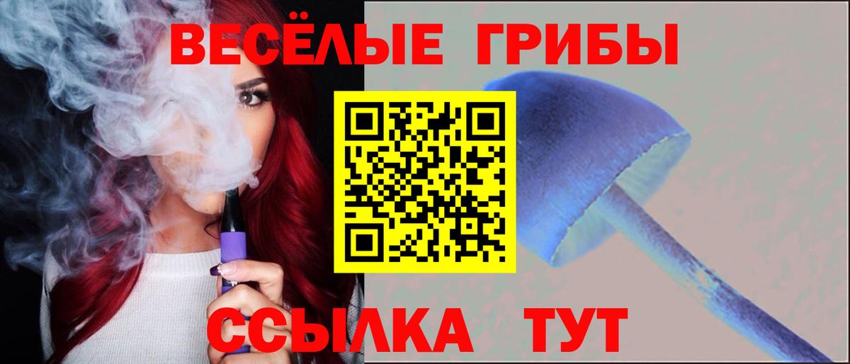 Псилоцибиновые грибы Psilocybine cubensis Назарово